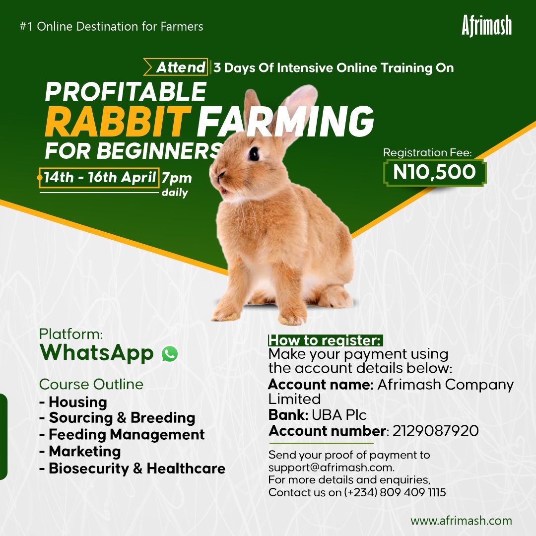 Rabbit Farming For Beginners (3Days inar Intensive Training