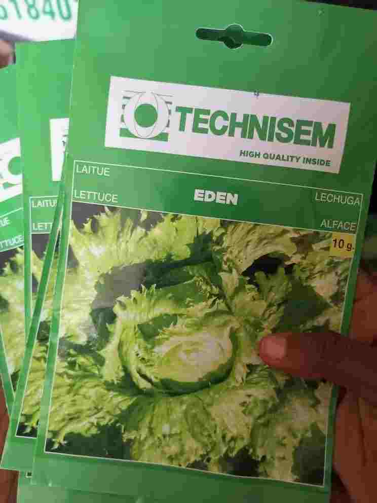 Eden Lettuce Seeds Hybrid 10g Nigeria Eden Lettuce