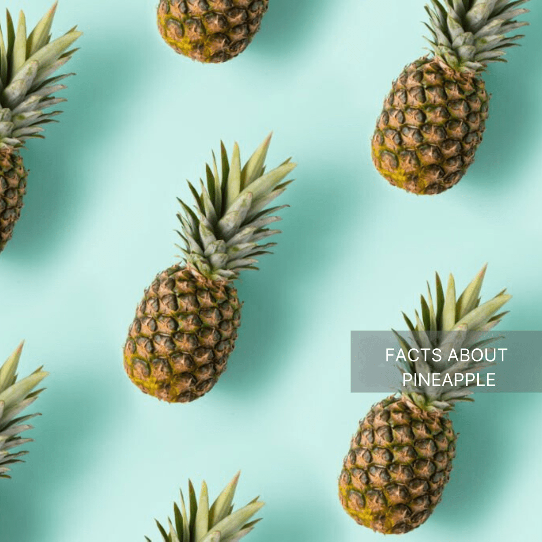7 Essential Fascinating Facts About Pineapple from Afrisun Orchards