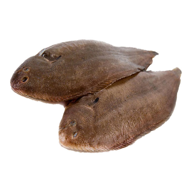 Sole (Fish) Afritibi