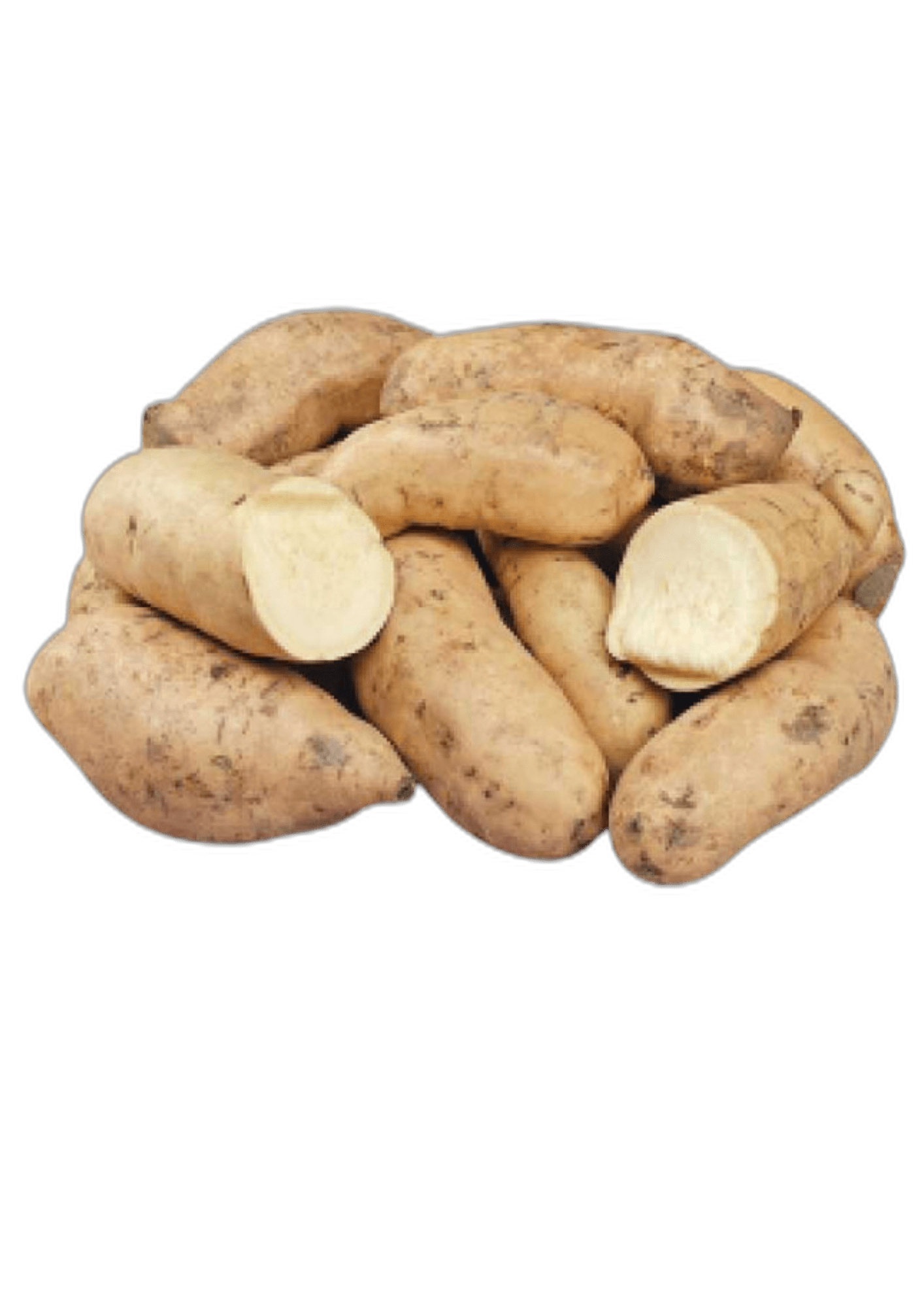 FRESH Garden Egg Green 6 Kg