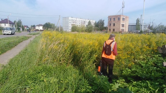 В Великих Луках «Зеленхоз» приступил к обработке территории от опасного