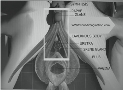 Intro After Dinner Party