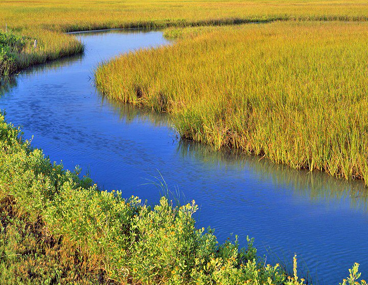 Charles Kruvand, Salt Marsh Flowing into Oyster Lake