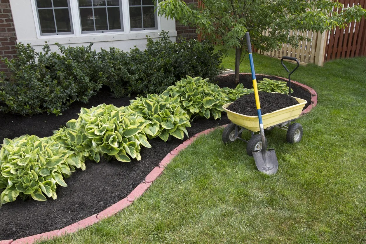 7 Landscaping Tips That Will Protect Your Foundation Houston