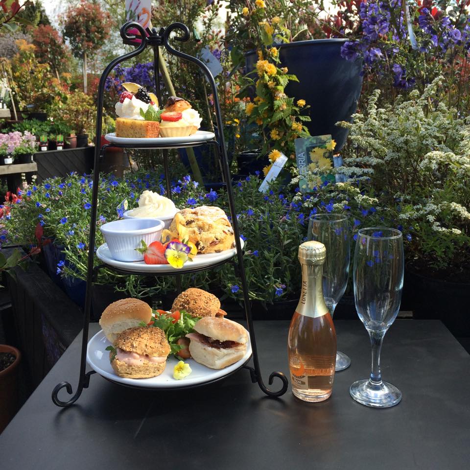 Best Afternoon Tea Wirral 2022