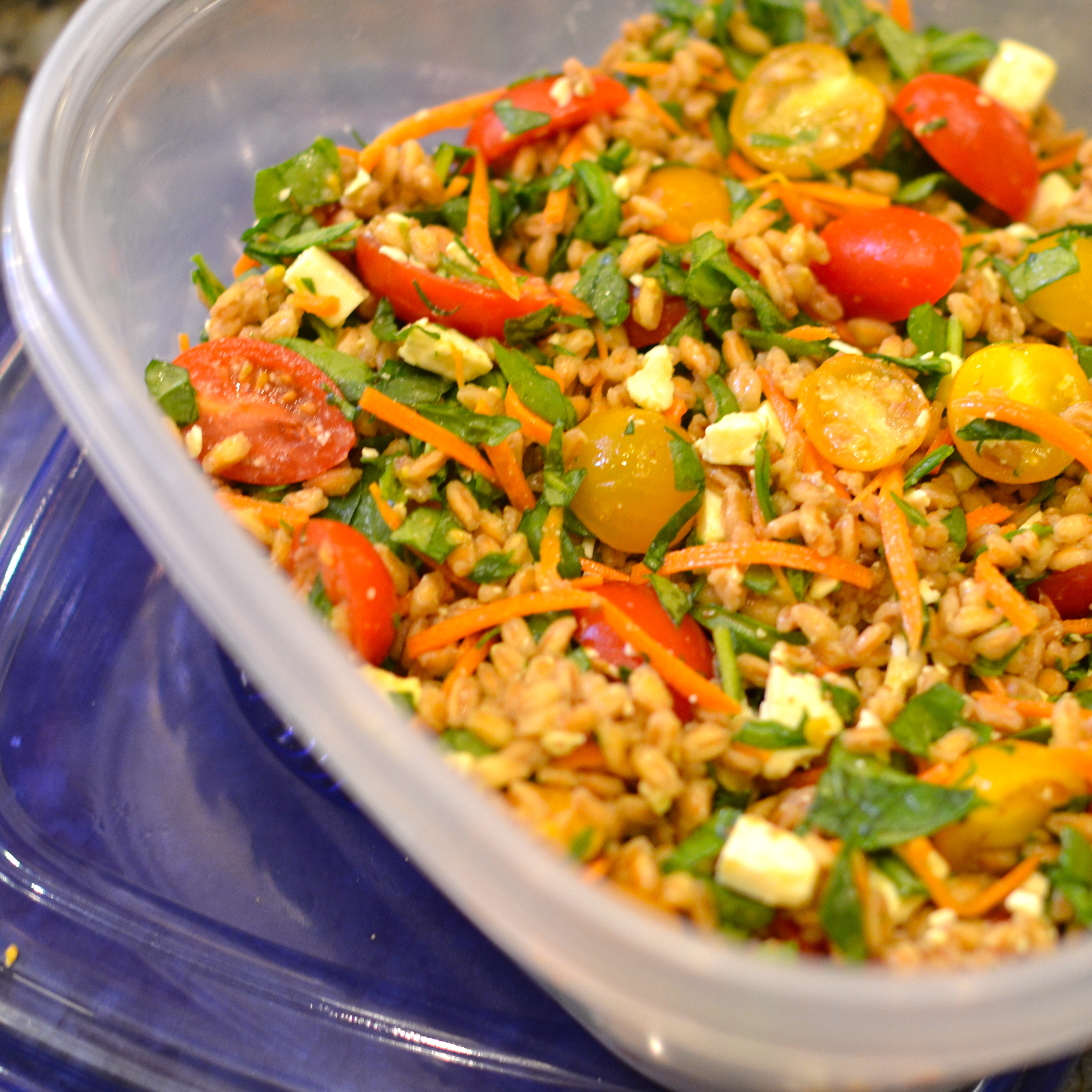 ITALIAN FARRO SALAD WITH VEGETABLES