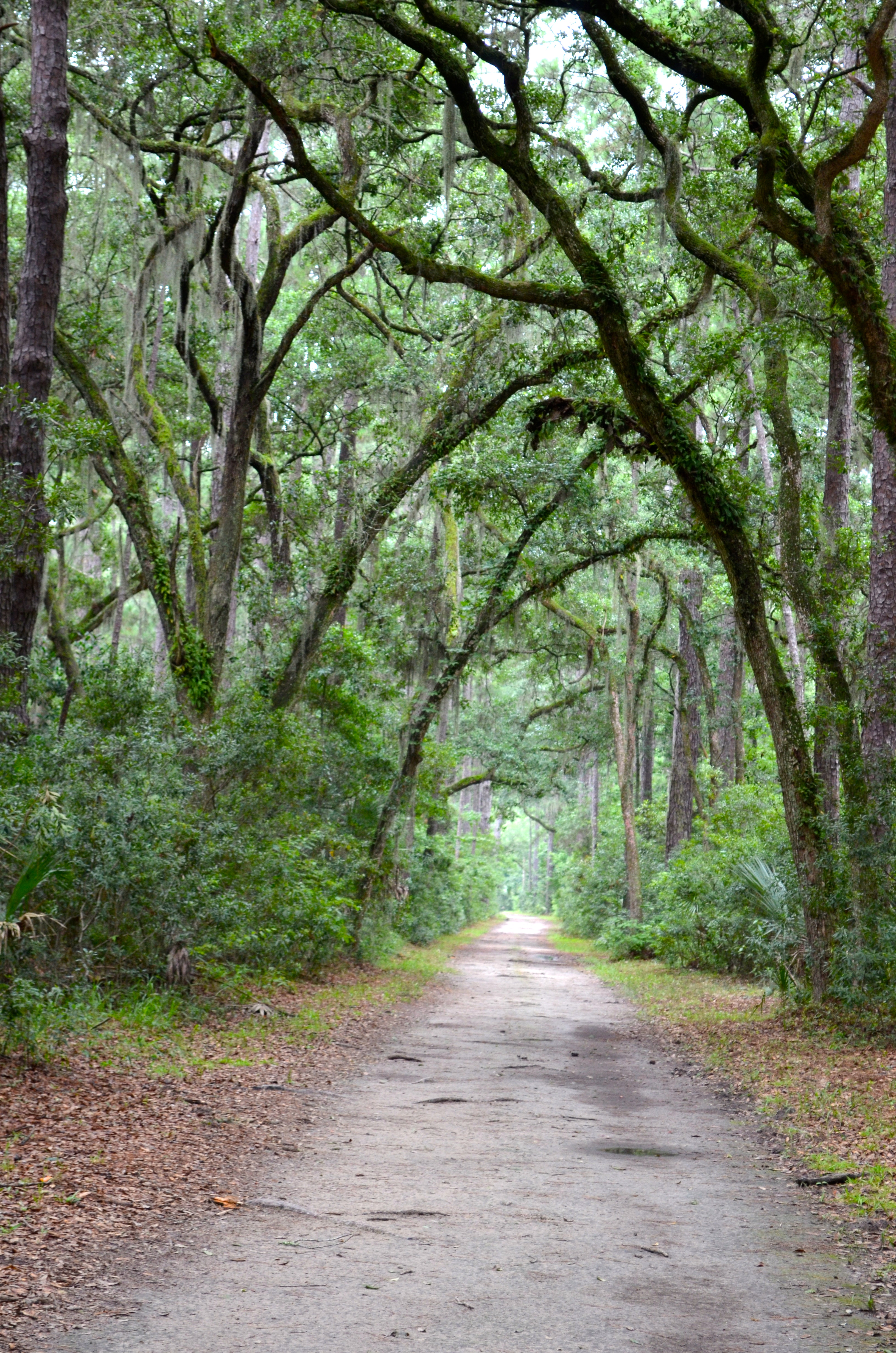 THE LOVELY LOWCOUNTRY HOMES OF PALMETTO BLUFF