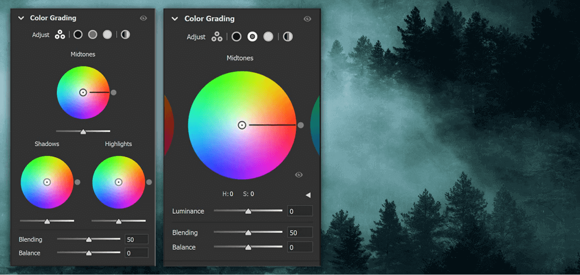 Capture One vs Lightroom Which Photo Editing Software Reigns Supreme?