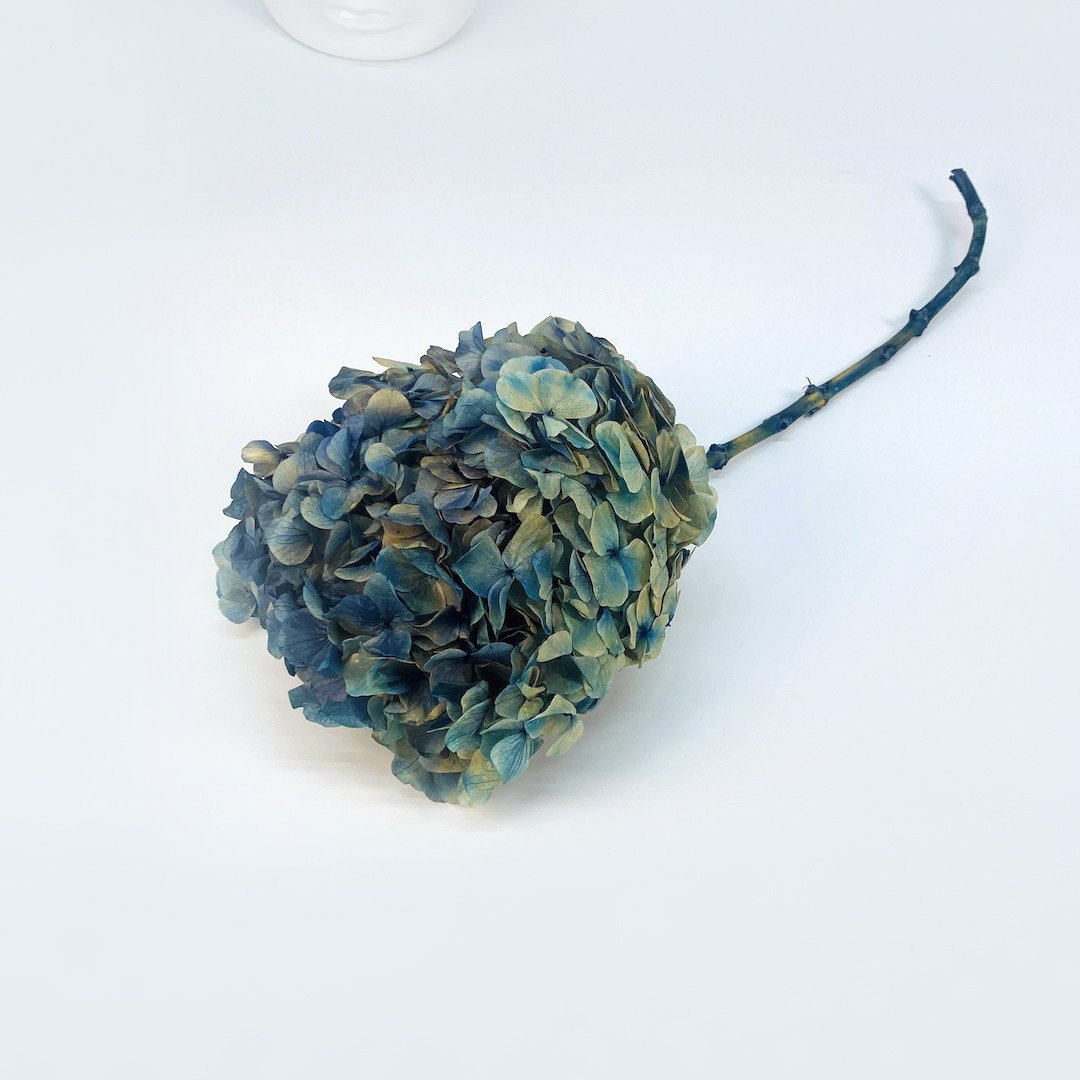 Dried Flowers Wholesale Amazing Flowers Wholesale