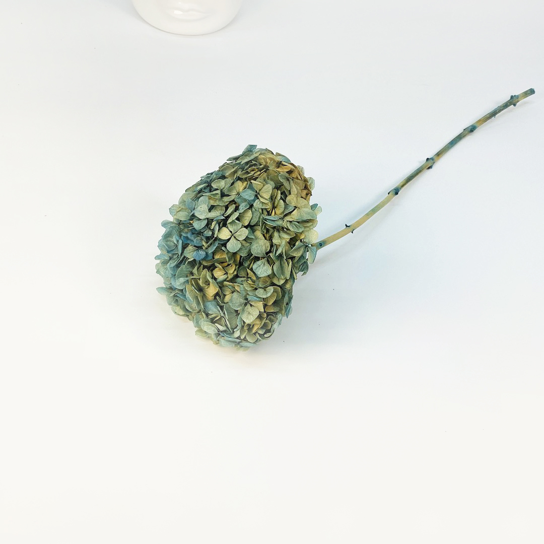 Dried Flowers Wholesale Amazing Flowers Wholesale