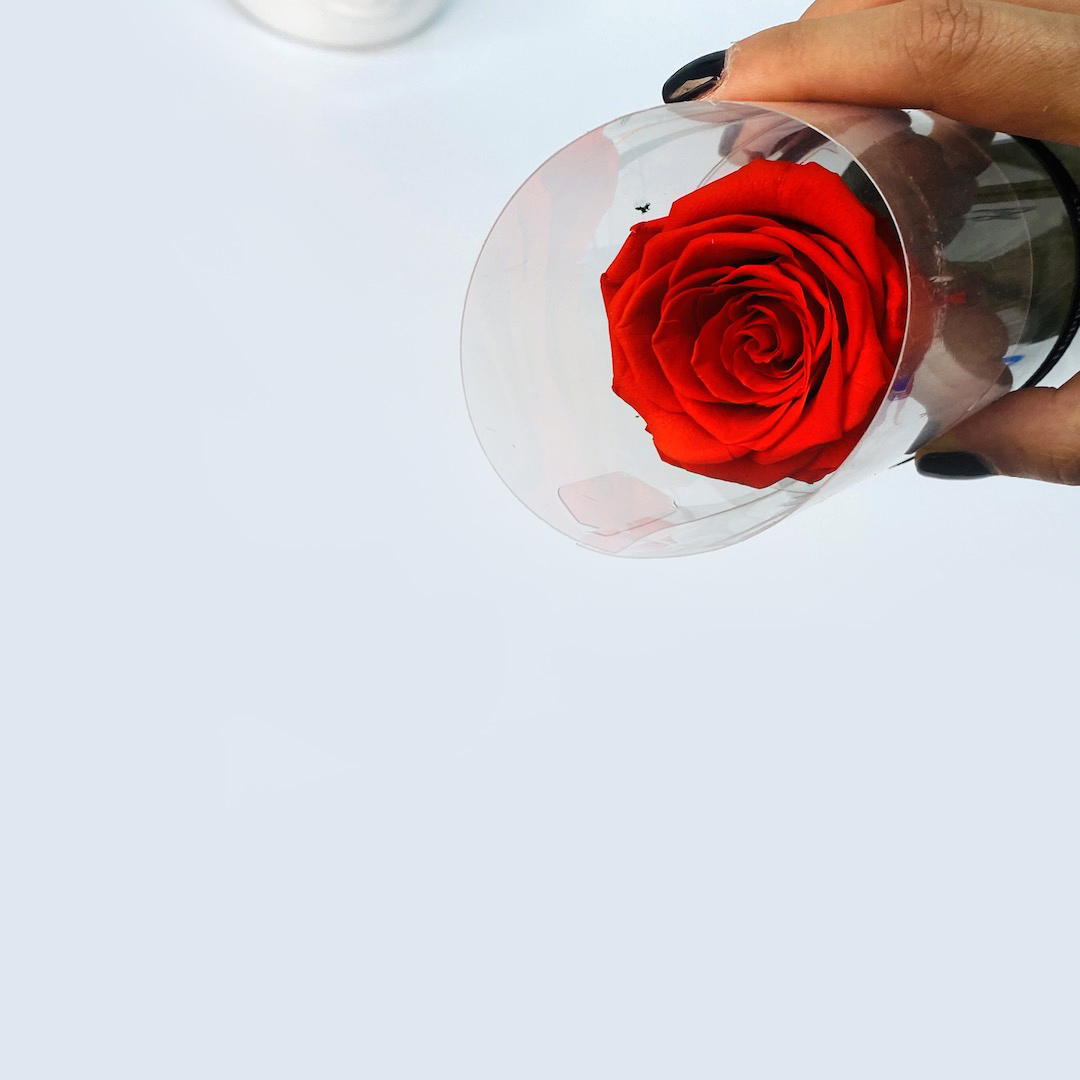 Dried Flowers Wholesale Amazing Flowers Wholesale