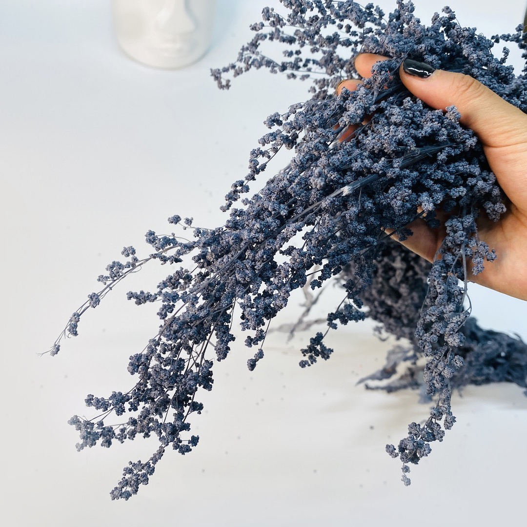 Bunny Tails Light Grey Preserved & Dried Flowers Wholesale Shop Online