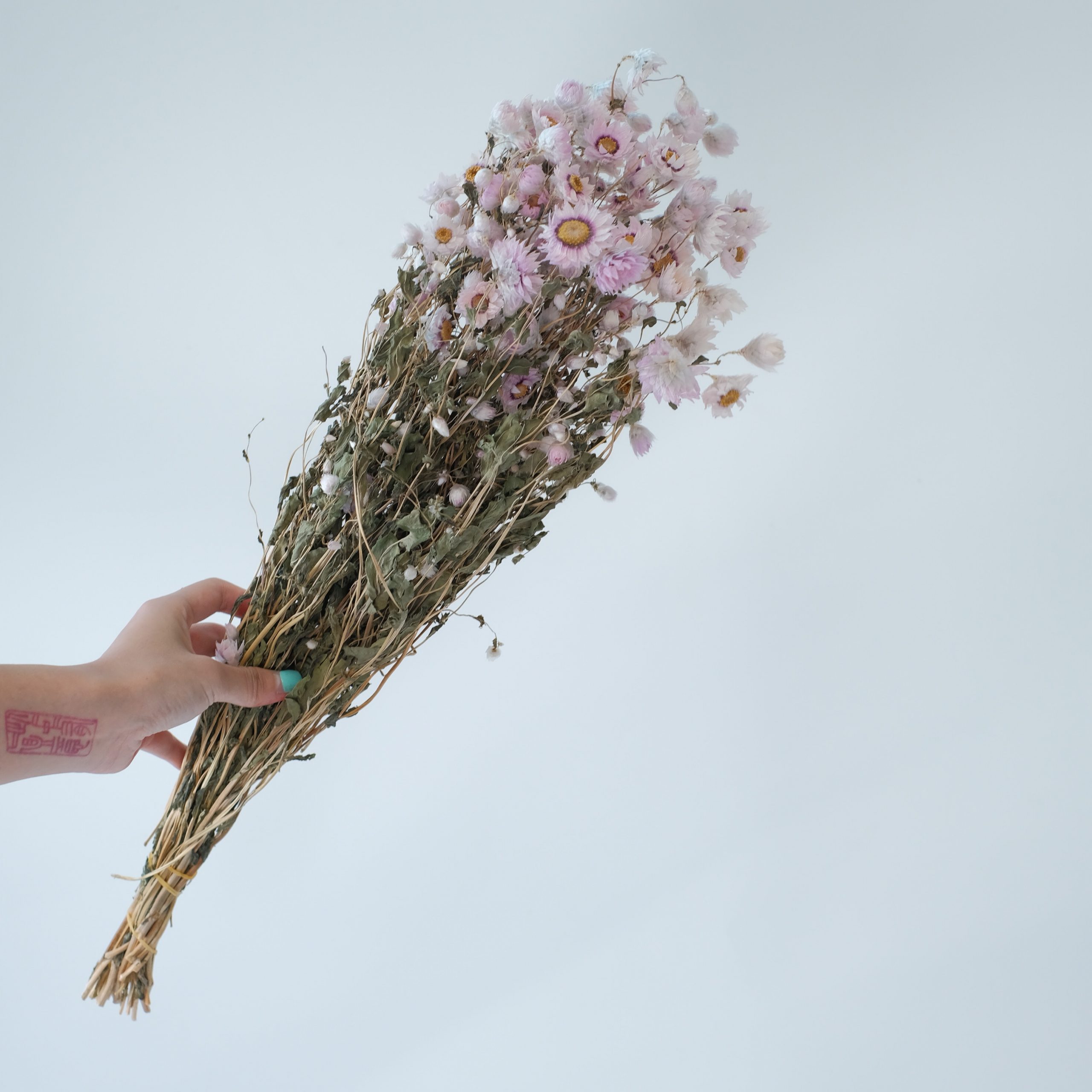 Preserved & Dried Flowers Wholesale Amazing Flowers