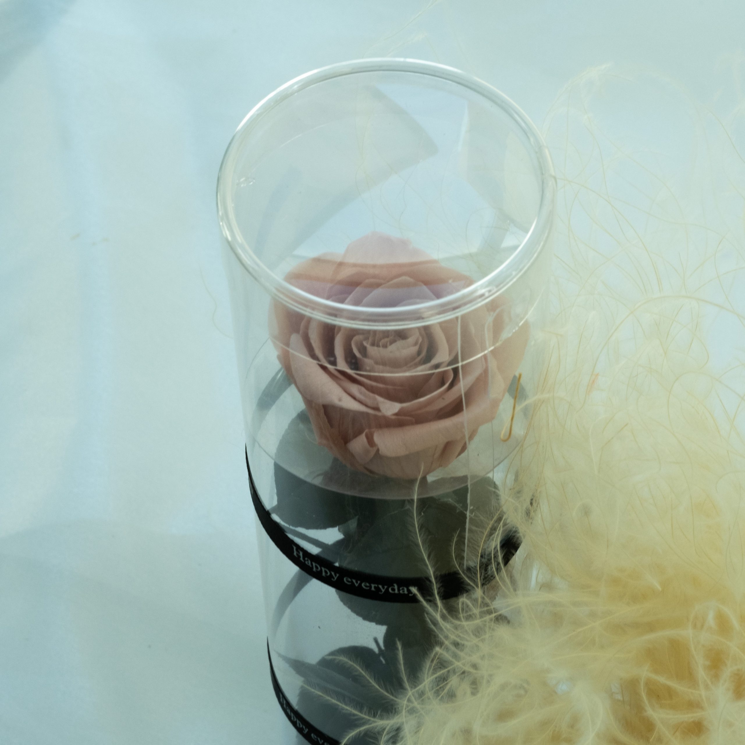 Dried Flowers Wholesale Amazing Flowers Wholesale