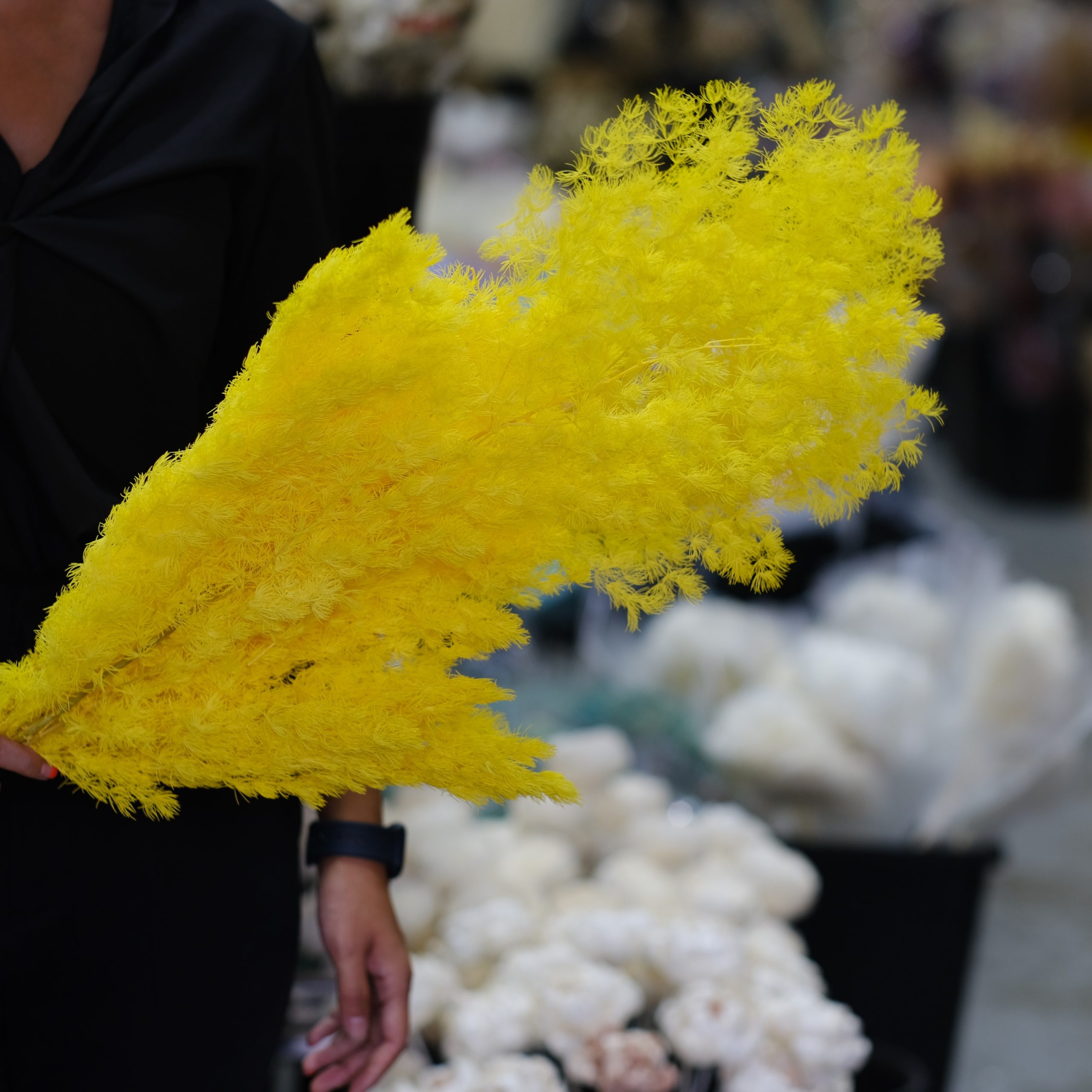 Preserved & Dried Flowers Wholesale