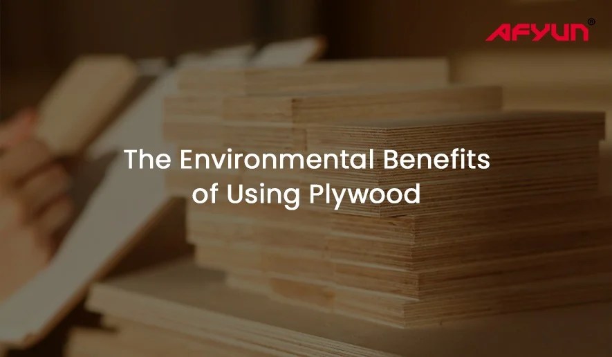 The Environmental Benefits of Using Plywood