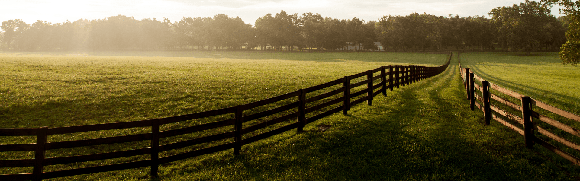 Utah Department of Agriculture and Food