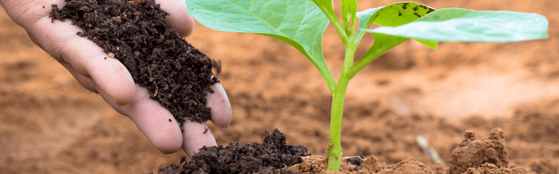 Utah Department of Agriculture and Food