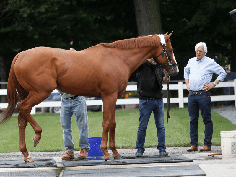 Legendary horse trainer Bob Baffert, who's trained 5 Kentucky Derby