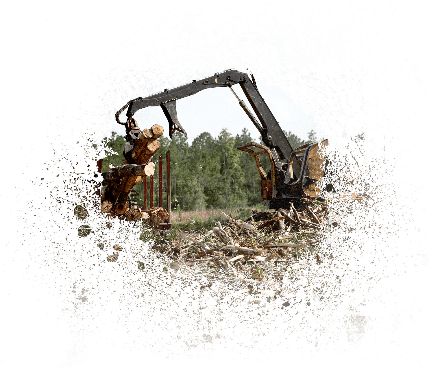 Timber Land Financing & Loans AgAmerica