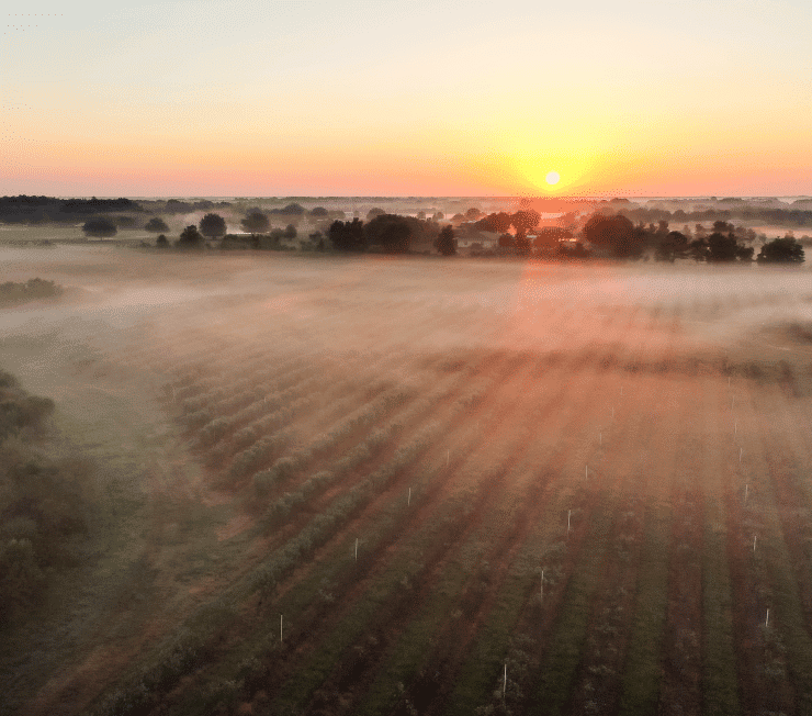 First Agricultural Mortgage REIT in the U.S. AgAmerica