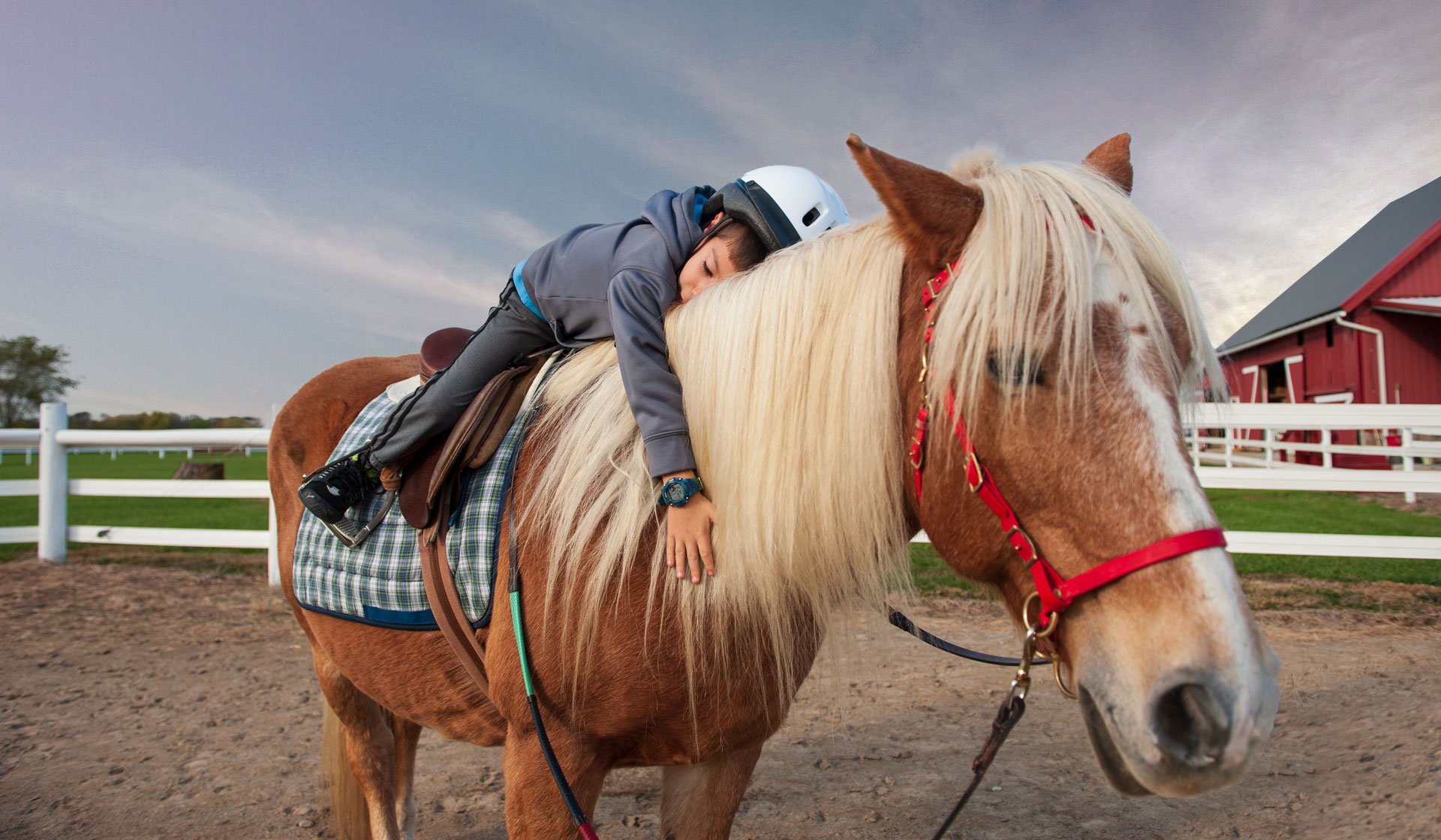 Something About a Horse Finding Benefits in Therapeutic Riding Agape