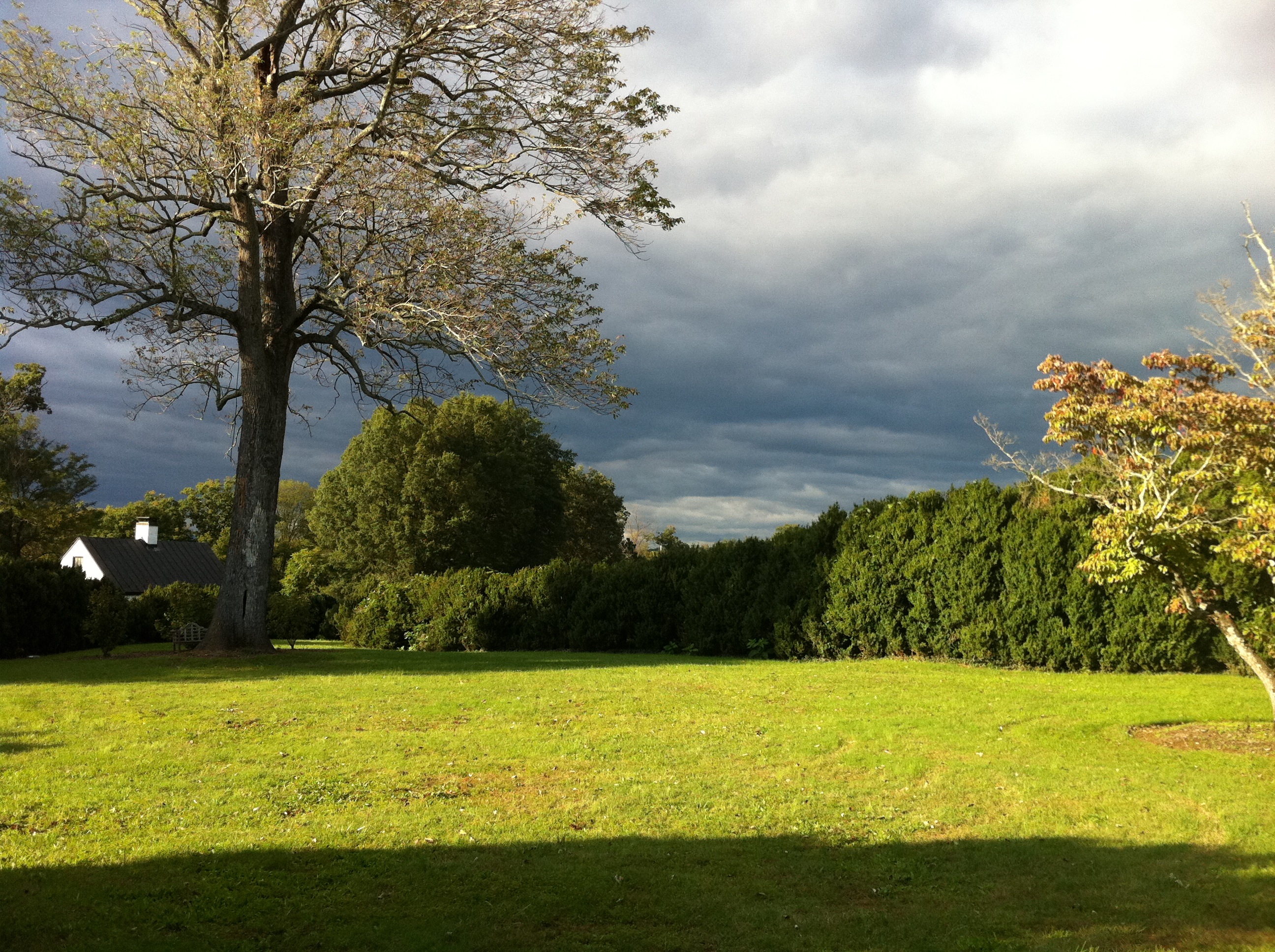 Photo Gallery A Gardener’s Delight