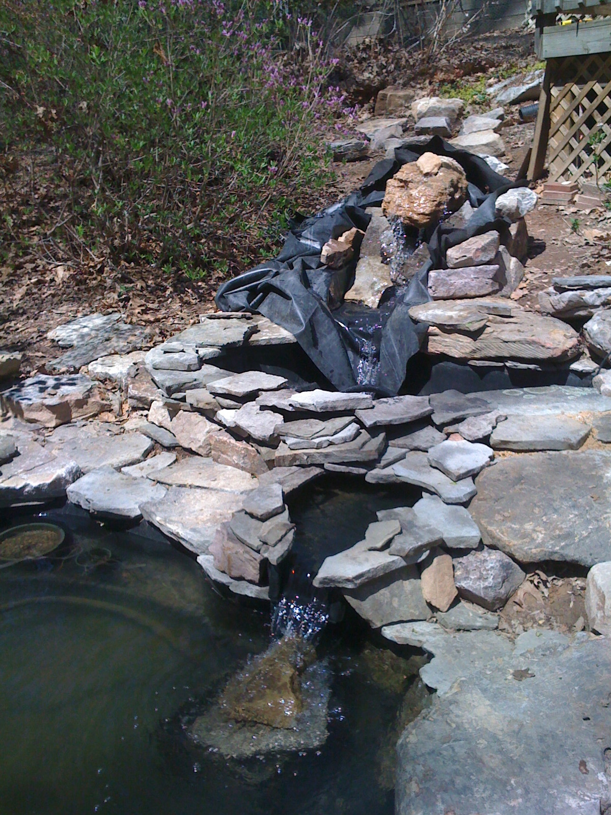 How to Build a Pond The Ponds Project A Gardener's Delight