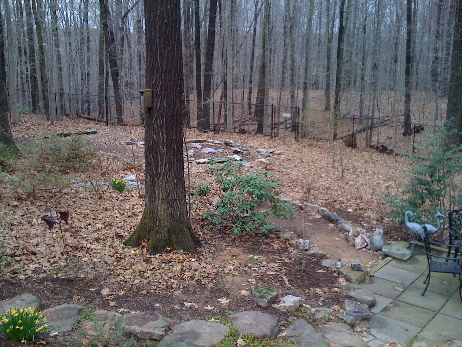 Stone Terrace Project A Gardener’s Delight