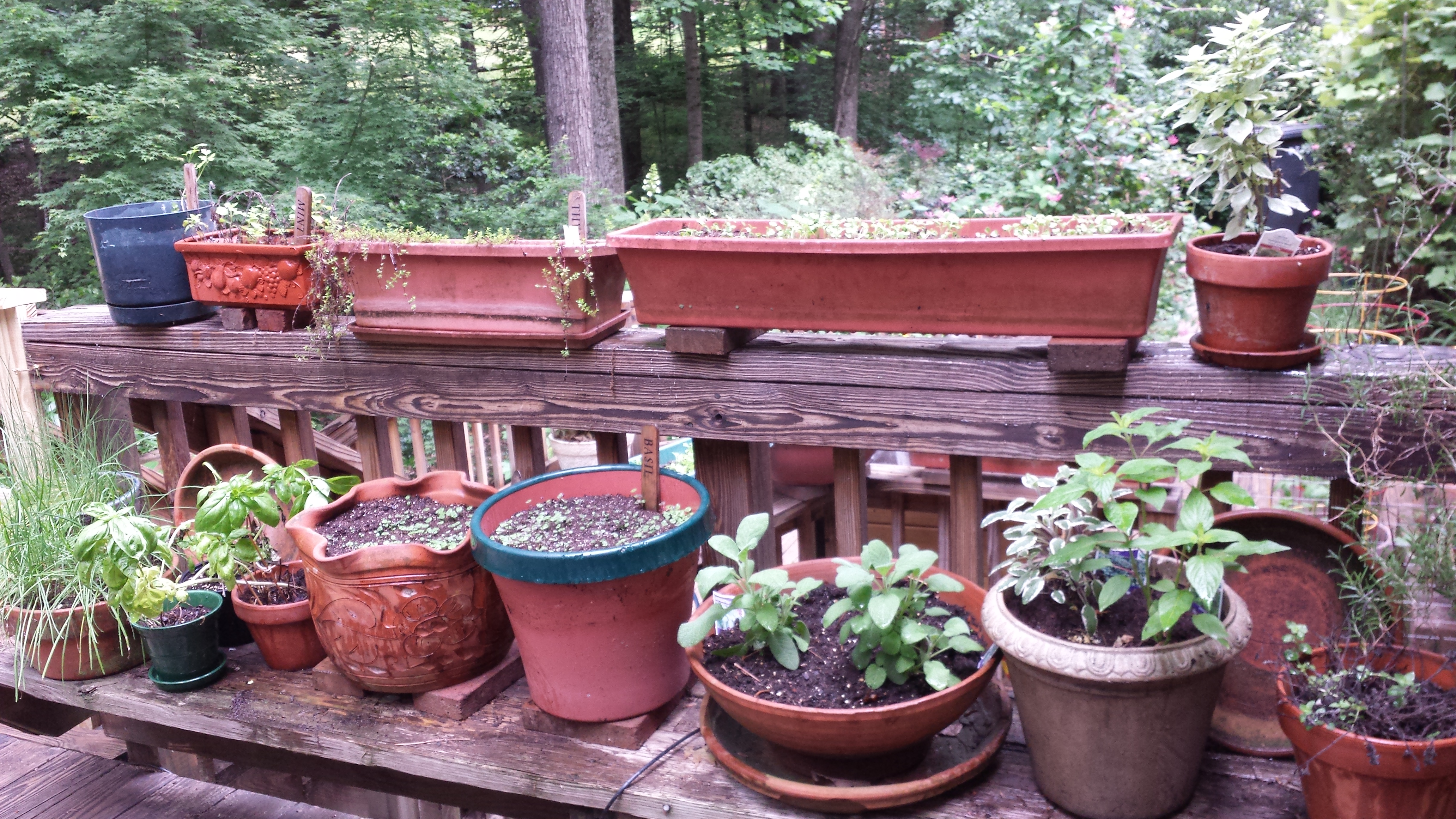 Raised Bed Garden A Gardener's Delight
