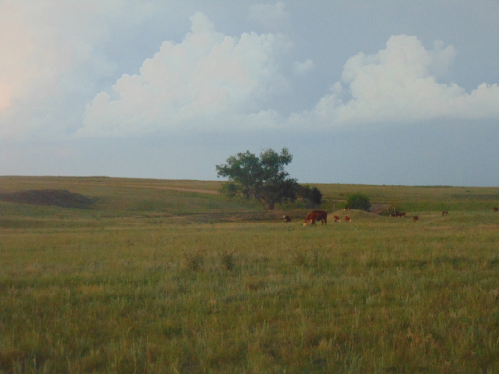 Agate Conservation District Susatainable Land Use Now & Future