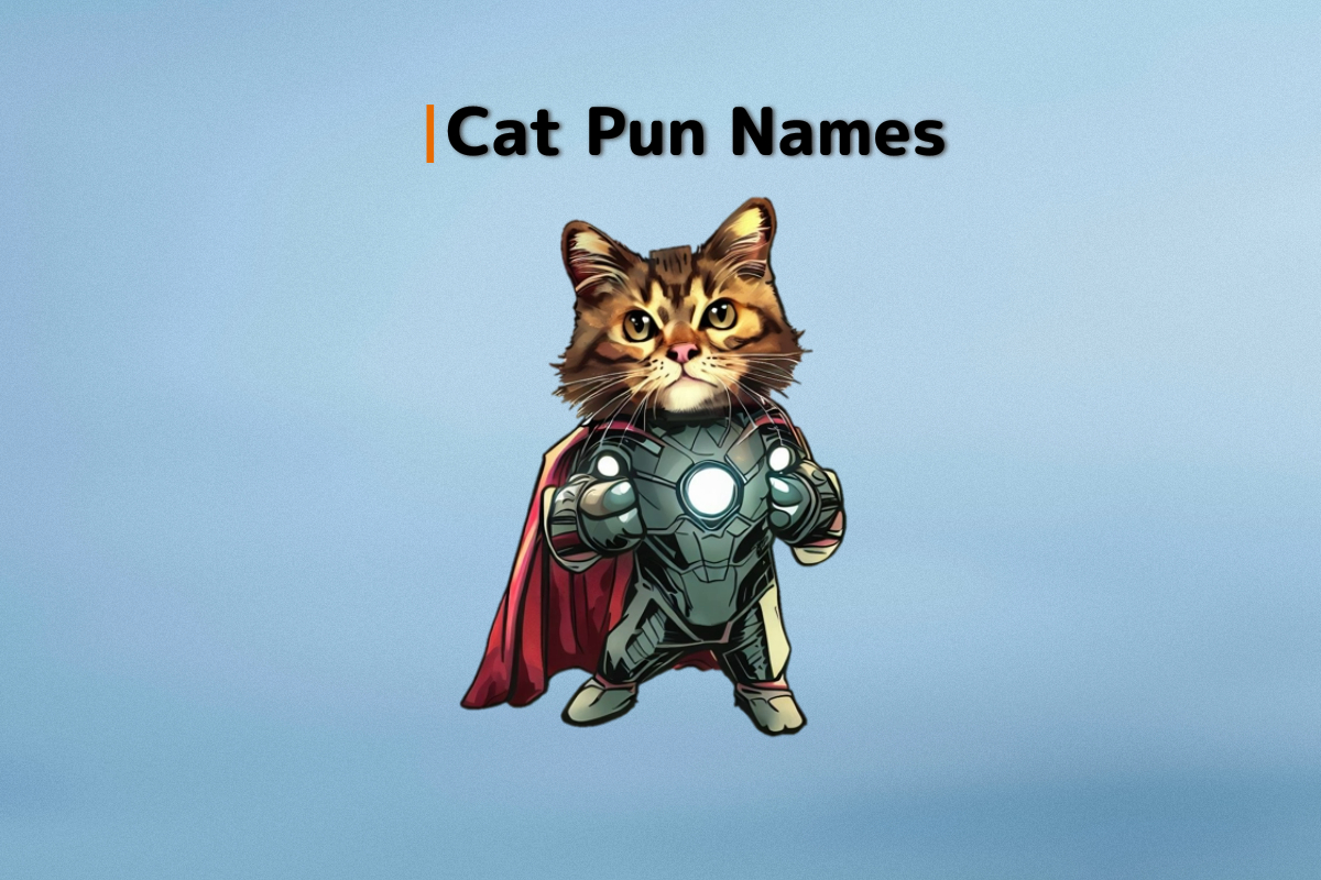 300 Cat Pun Names to Pawsitively Delight You Agatton