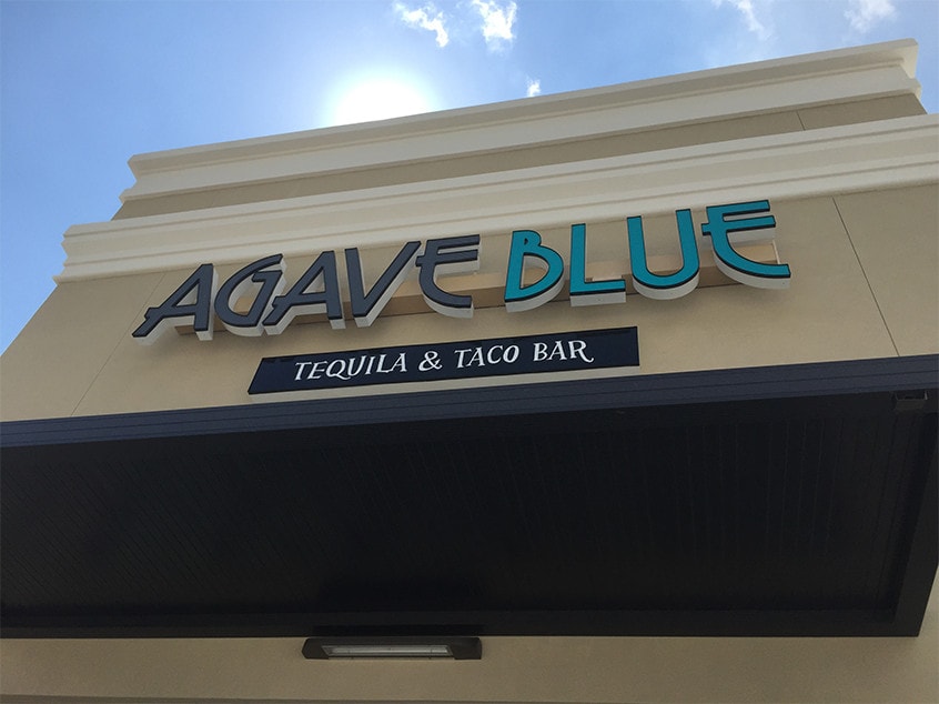 Agave Blue