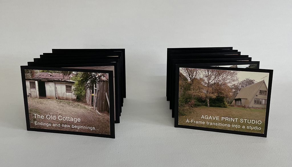Concertina books horizontal or vertical Agave Print Studio