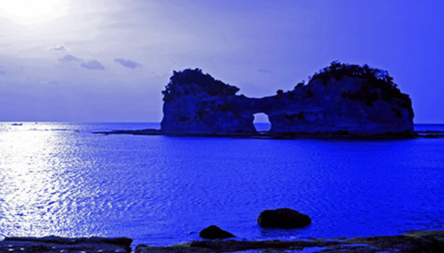 和歌山県、2017年インバウンド観光減少 AGB Nippon