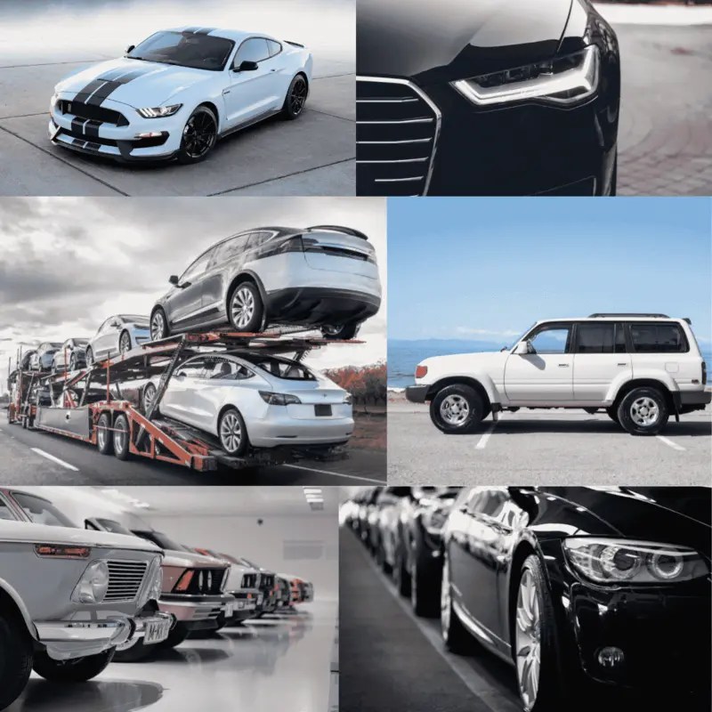 Car Shipping Made Easy | Your Trusted Moving Partner in US