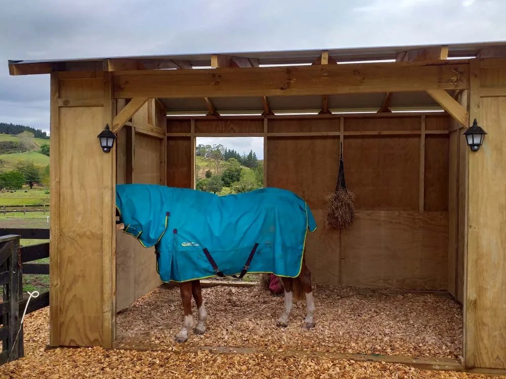Horse Shelters Ag Construct Equestrian shelters and stables