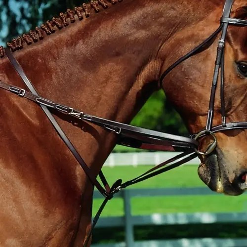 English Reins Canada Interior BC The Horse Barn