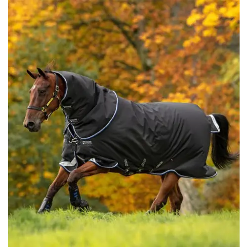 Horse Blanket and Turnout Sheets Kamloops The Horse Barn