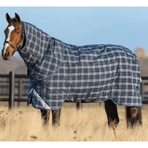 Horse Blanket and Turnout Sheets Kamloops The Horse Barn