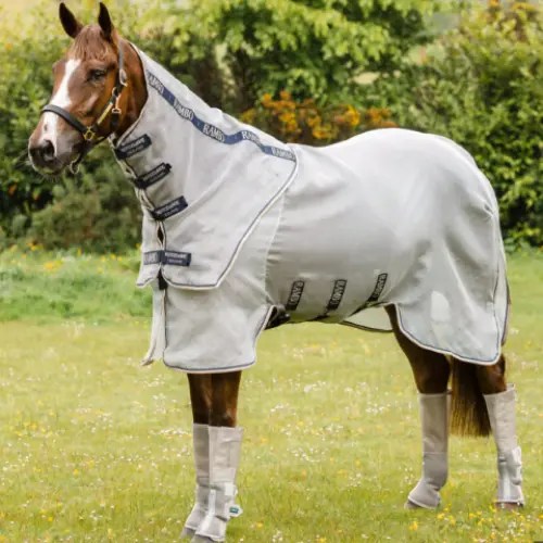 Horse Fly Sheets Kamloops Canada The Horse Barn