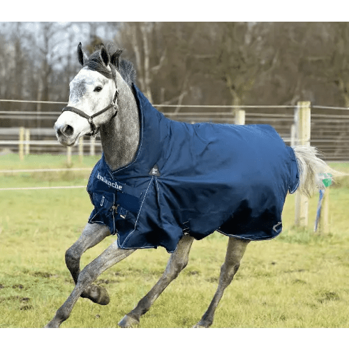 Horse Blanket and Turnout Sheets Kamloops The Horse Barn