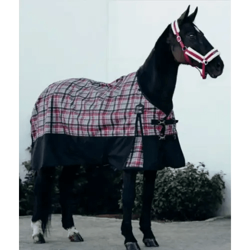 Horse Rain Sheets Kamloops Interior BC The Horse Barn