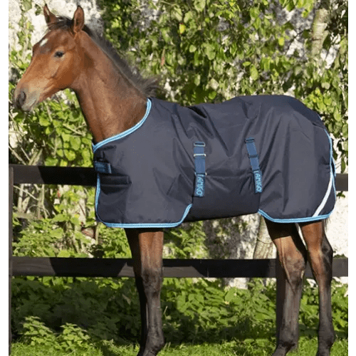 Horse Blanket and Turnout Sheets Kamloops The Horse Barn