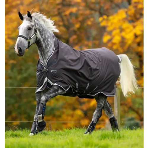 Horse Blanket and Turnout Sheets Kamloops The Horse Barn