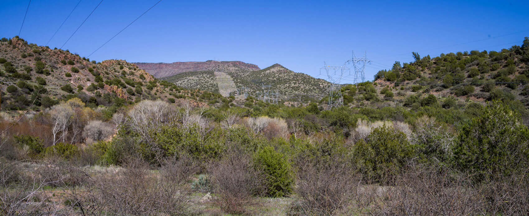 campverde AGD Auto Glass & Tint Co.