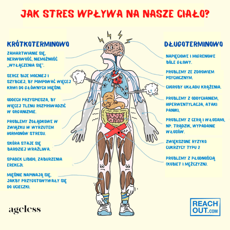 Jak stres wpływa na odporność w czasach koronawirusa? Blog o zdrowiu