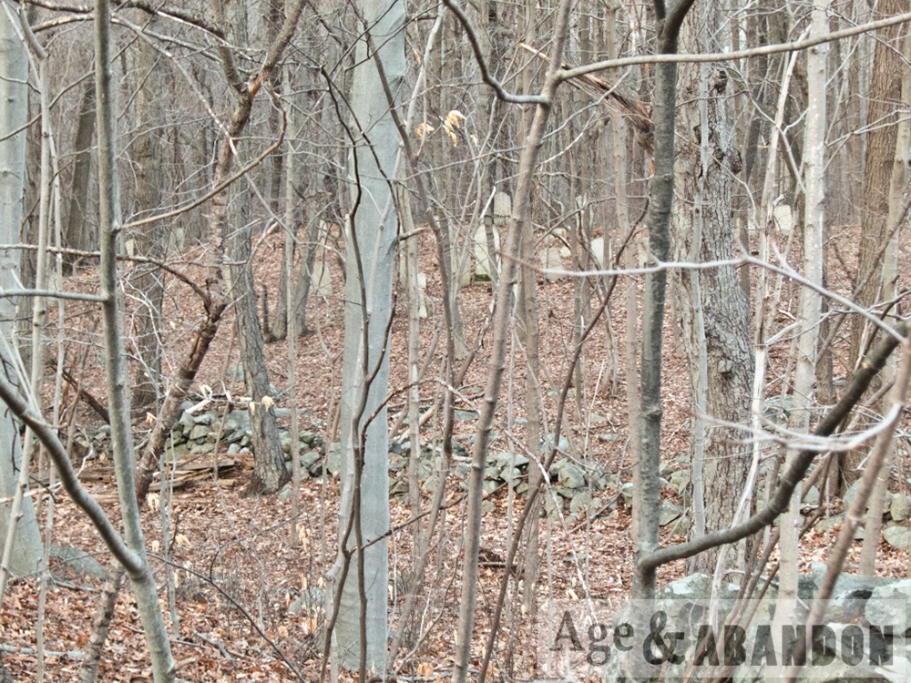 Baxter Cemetery, Putnam Valley, NY Age & Abandon