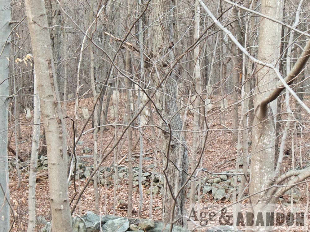 Baxter Cemetery, Putnam Valley, NY Age & Abandon